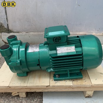 Bom Hut Chan Khong Vong Nuoc Dbk 2Bv2060 0 81Kw
